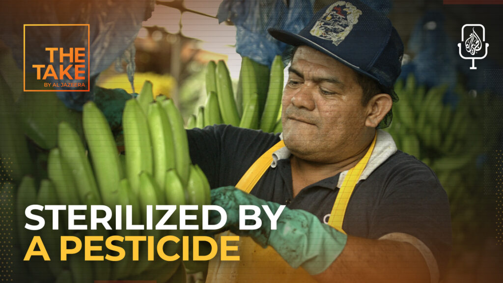 Could a US-banned pesticide be behind mass sterilization? Could a US-banned pesticide be behind mass sterilization?