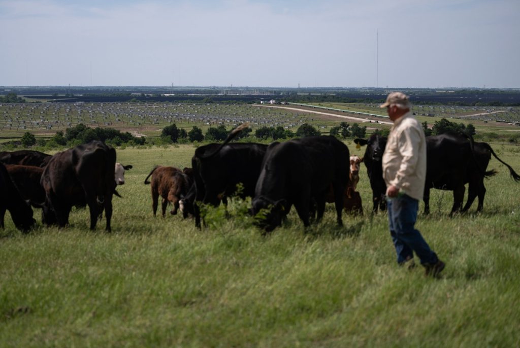 Why a Central Texas farmer is leading a one-man mission to stop renewable energy Why a Central Texas farmer is leading a one-man mission to stop renewable energy