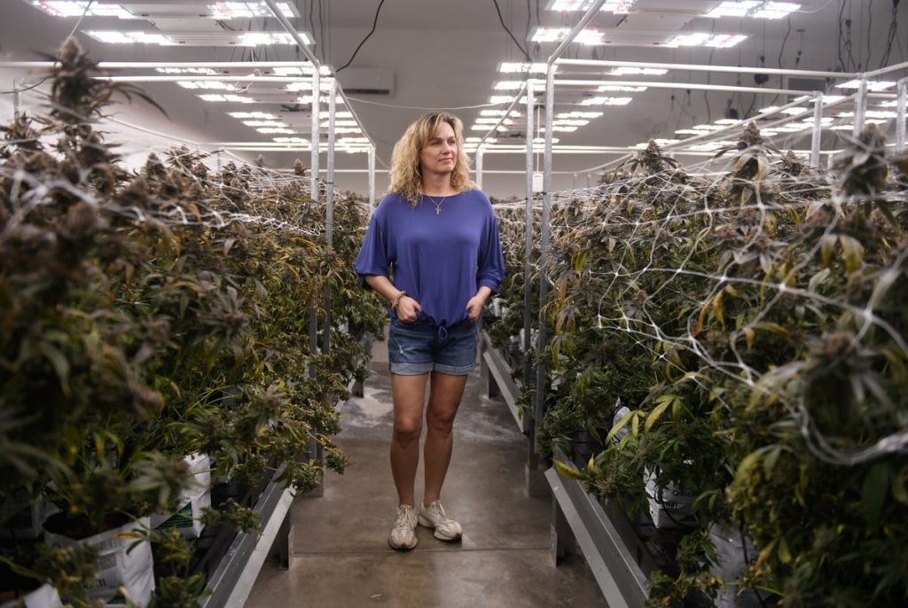 THC ban will destroy Texas’ hemp agriculture industry, farmers say