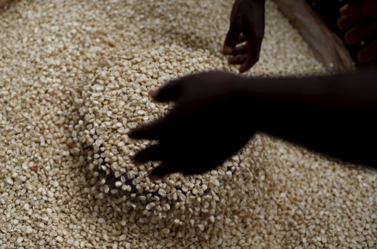 ‘We need our bananas back’: Traders left in limbo amid Malawi-Tanzania spat ‘We need our bananas back’: Traders left in limbo amid Malawi-Tanzania spat