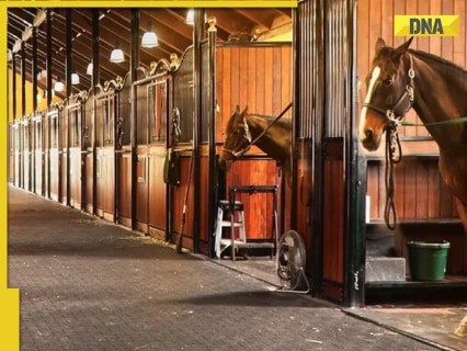 Man trespasses into horse riding academy at night, commits shocking act, CCTV footage leads to his arrest