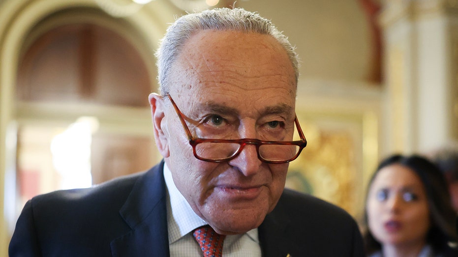 Coast Guard rejects Schumer’s claim that DOGE contributed to fatal Brooklyn Bridge crash