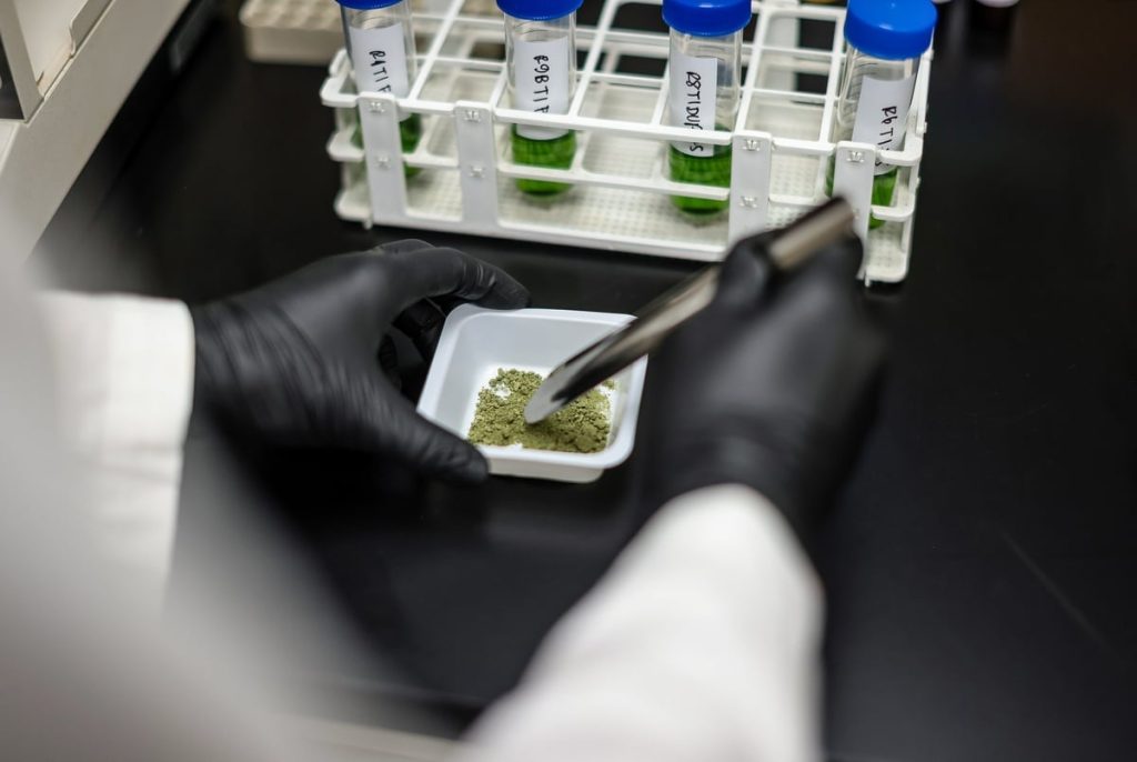 Texas likely to expand medical marijuana program eligibility amid looming hemp ban Texas likely to expand medical marijuana program eligibility amid looming hemp ban