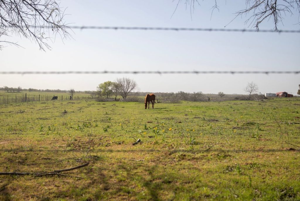 Texas moves close to ban on some land sales to foreigners