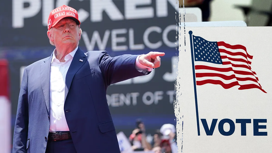 A US judge partially blocked Trump’s election integrity order from taking force. Is that legal? A US judge partially blocked Trump’s election integrity order from taking force. Is that legal?