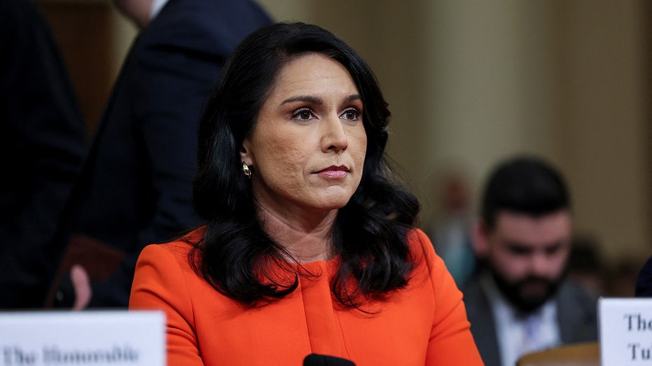 Federal air marshals surveilled Trump Cabinet member Gabbard in 2024, Rand Paul says Federal air marshals surveilled Trump Cabinet member Gabbard in 2024, Rand Paul says