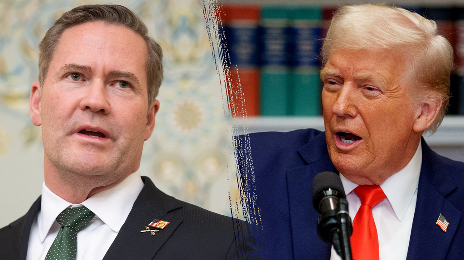 Hegseth, Signal questions dog Waltz as potentially perilous UN ambassador confirmation hearings loom Hegseth, Signal questions dog Waltz as potentially perilous UN ambassador confirmation hearings loom