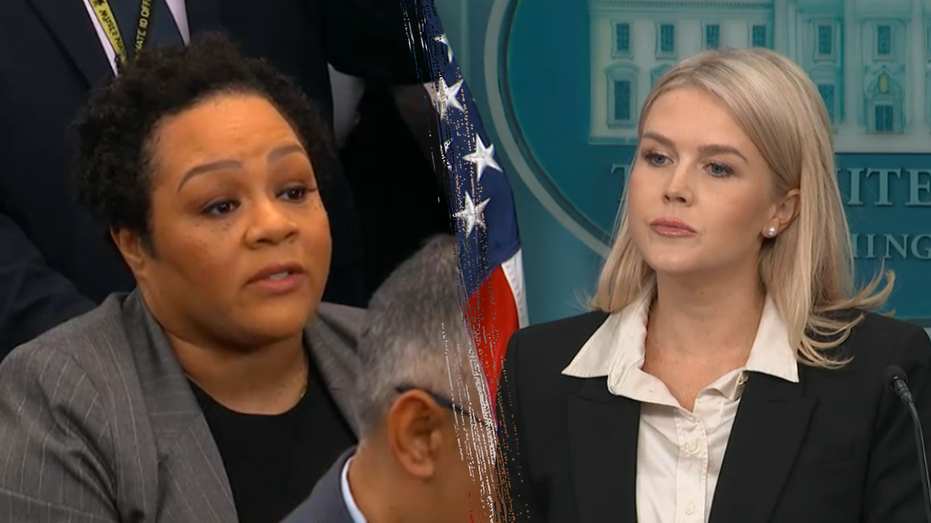 White House shuts down reporter’s ‘ridiculous’ challenge of White South African farmer deaths