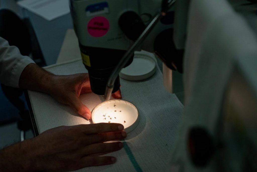 Texas public health departments brace for another 9 million in federal cuts Texas public health departments brace for another 9 million in federal cuts