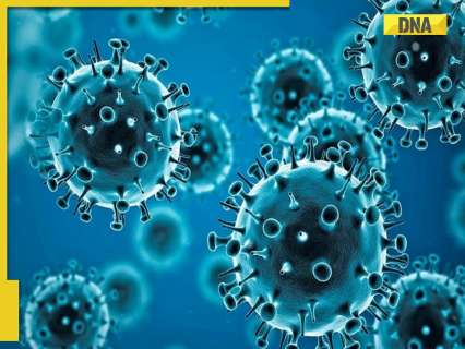 What is COVID-19? How many people died of Coronavirus? WHO says…