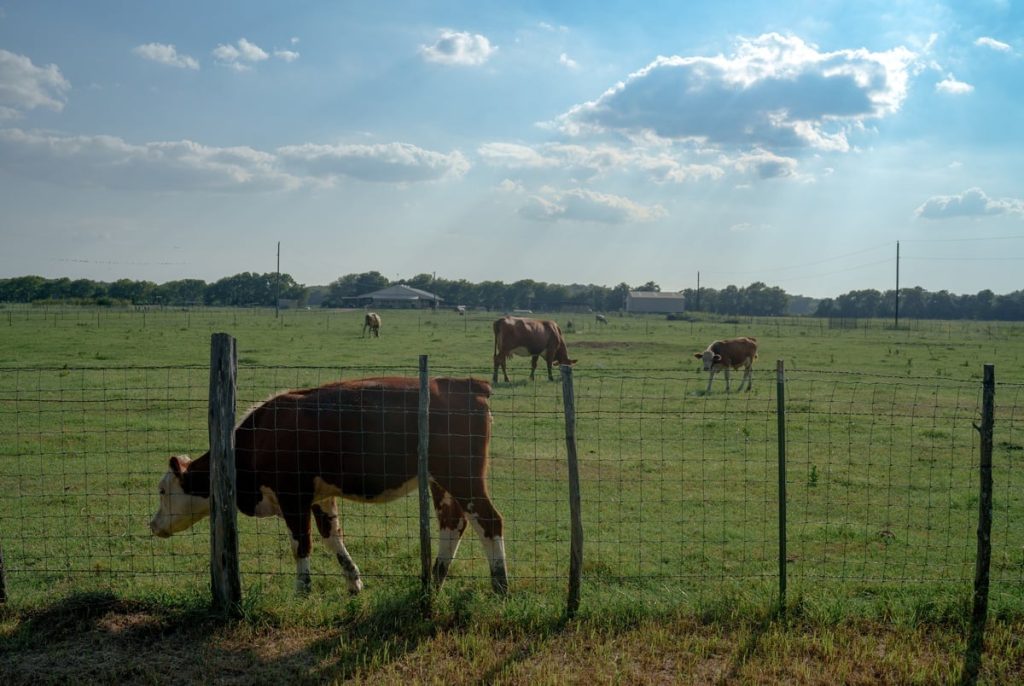 Bills aimed at studying, restricting “forever chemicals” in Texas fail Bills aimed at studying, restricting “forever chemicals” in Texas fail