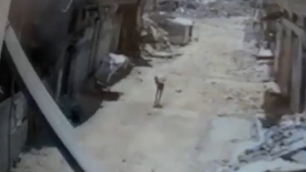 Video: Israeli drone kills Palestinian carrying sack of flour Video: Israeli drone kills Palestinian carrying sack of flour