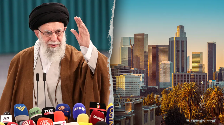 Hospitals in sanctuary cities could be most vulnerable to Iran terror attacks, warns expert Hospitals in sanctuary cities could be most vulnerable to Iran terror attacks, warns expert