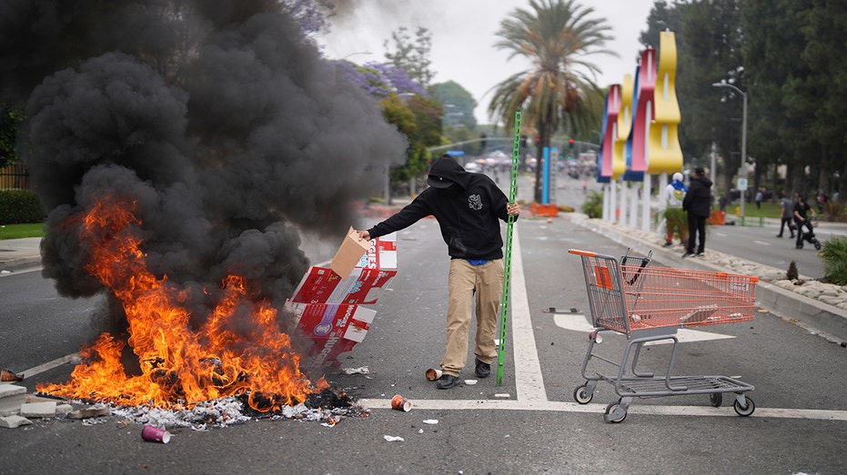 Senator launches investigation into Democratic org over potential support for LA rioters Senator launches investigation into Democratic org over potential support for LA rioters