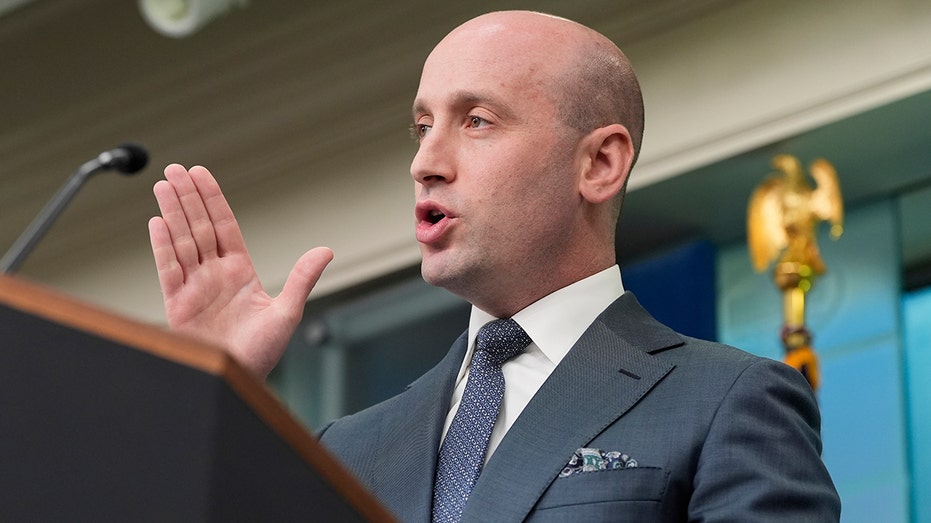 Democratic congressman hurls profanity-laced message at Stephen Miller Democratic congressman hurls profanity-laced message at Stephen Miller