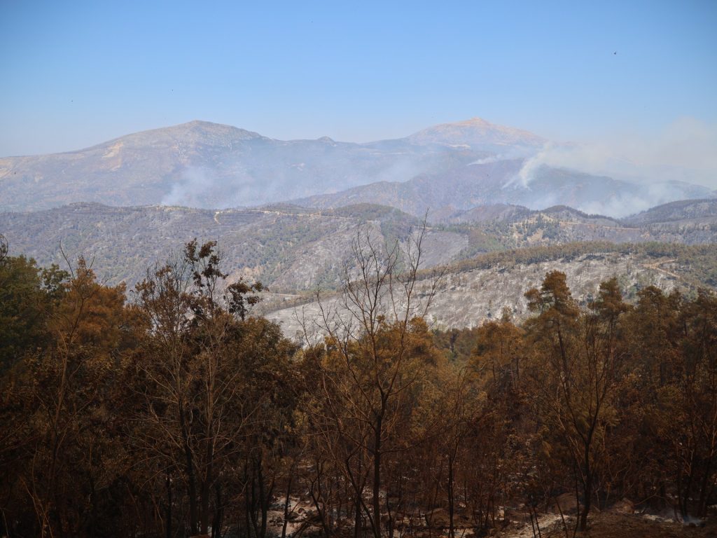 Syria says wildfires in northwest Latakia province contained after 10 days