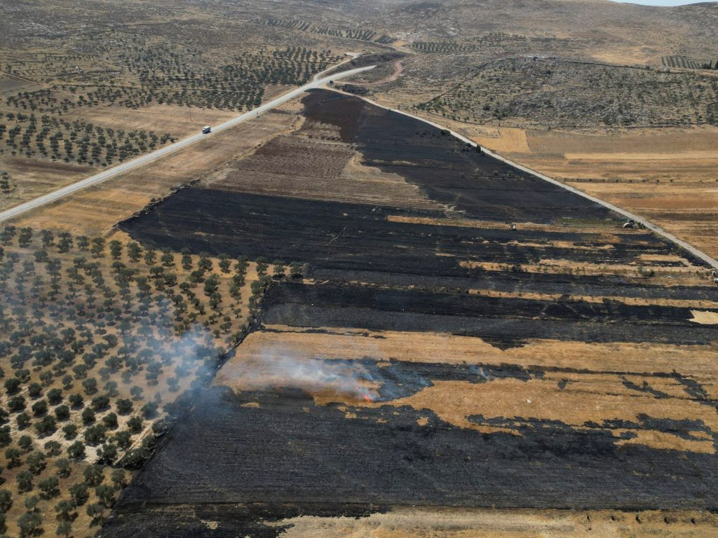 Israel is proceeding with annexation, and there is only one way to stop it