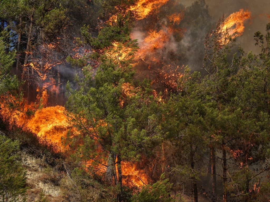 Emergency workers battle wildfires in Syria Emergency workers battle wildfires in Syria