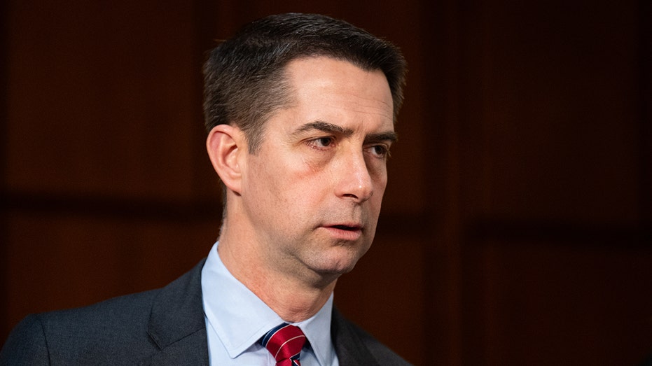 Senate Republican moves to give US an edge on China in harvesting minerals for weapons systems Senate Republican moves to give US an edge on China in harvesting minerals for weapons systems