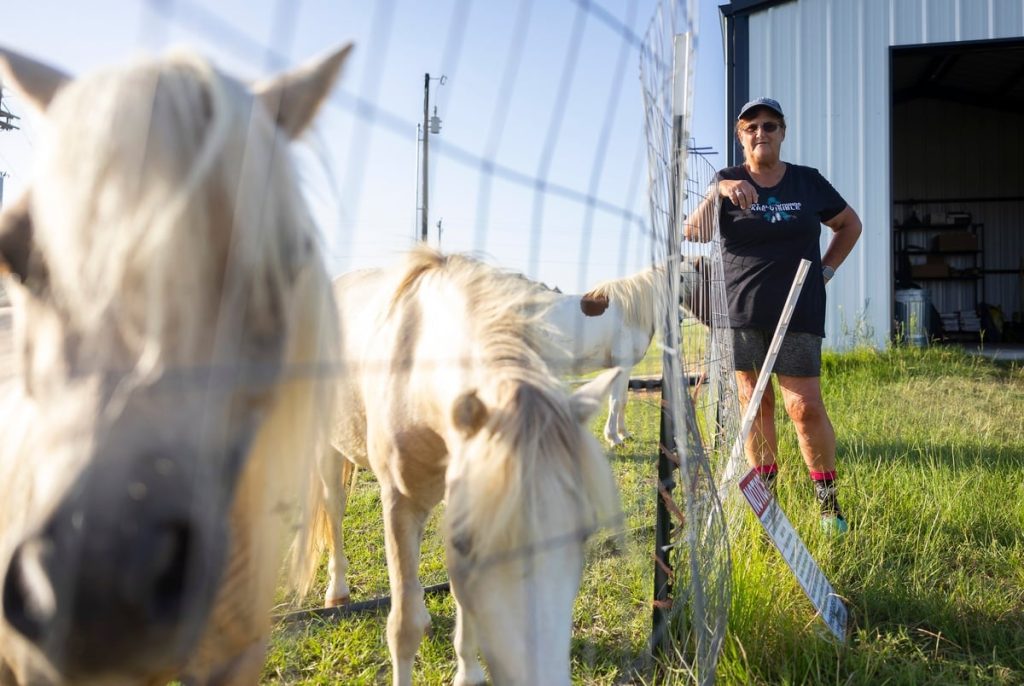 Some rural Texans see THC as a lifeline for their health and economy