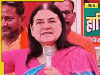 Maneka Gandhi slams SC order on stray dogs, calls it ‘impractical, financially unviable’ Maneka Gandhi slams SC order on stray dogs, calls it ‘impractical, financially unviable’