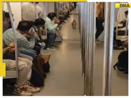 “Grand Entry…”: THRILLING video of a monkey running into a speeding Delhi metro, frightening the passengers goes viral – WATCH “Grand Entry…”: THRILLING video of a monkey running into a speeding Delhi metro, frightening the passengers goes viral – WATCH