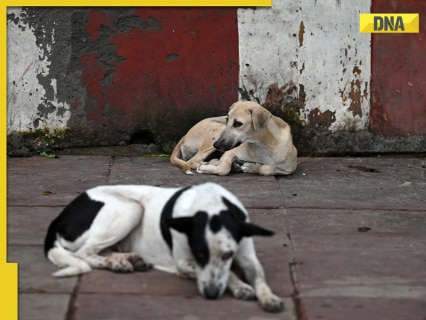 Life imprisonment for dogs? UP govt issues order on canine bites, know details here