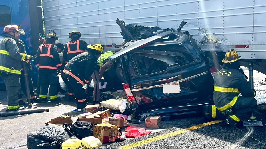 ‘English isn’t optional’: Senate GOP bill takes aim at illegal immigrant truckers after Florida crash ‘English isn’t optional’: Senate GOP bill takes aim at illegal immigrant truckers after Florida crash