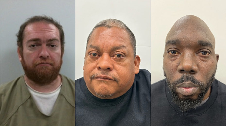 DHS names ‘worst of the worst’ detainees after Democratic lawmakers demand their release