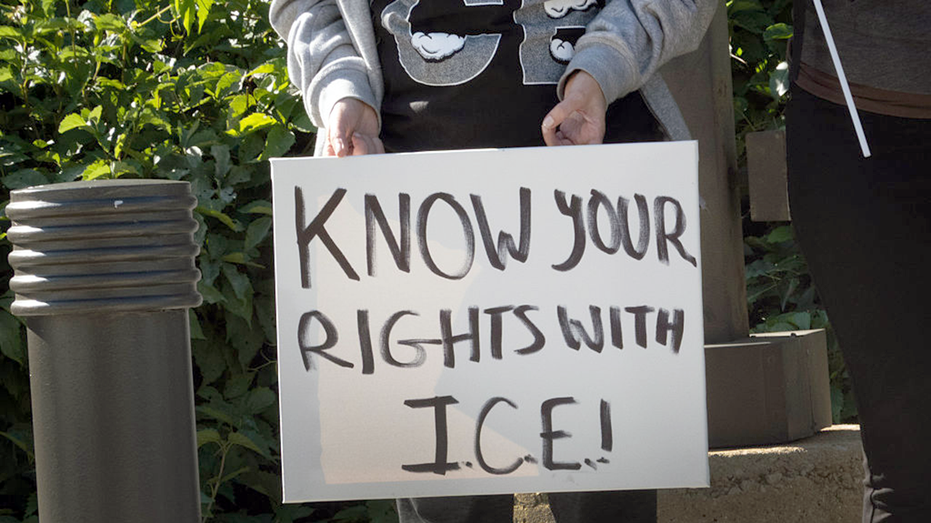 Democrats splinter on Trump’s immigration crackdown as GOP unites Democrats splinter on Trump’s immigration crackdown as GOP unites