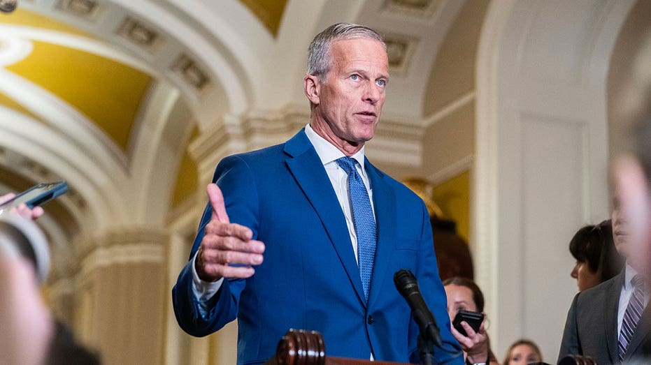 Thune slams Democrats’ ‘cold-blooded partisan’ tactics as funding deadline nears