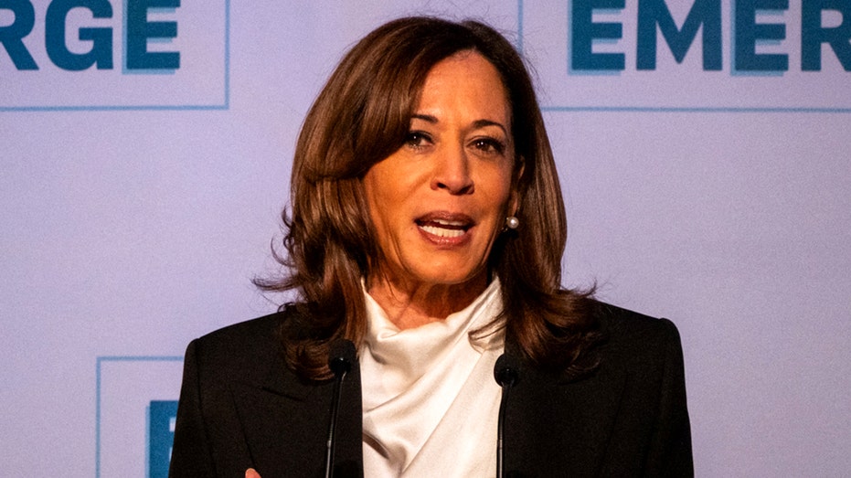 Kamala Harris says she ‘had no idea’ she ‘pulled the pin on a hand grenade’ with ‘The View’ answer about Biden