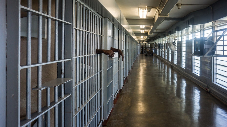 New ICE detention facility ‘Louisiana Lockup’ opens at notorious prison New ICE detention facility ‘Louisiana Lockup’ opens at notorious prison