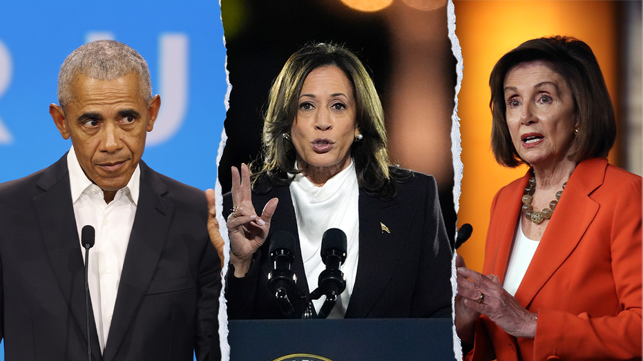Obama, Pelosi, other top Dems resisted instant Harris endorsement citing need to ‘earn it,’ ‘hiking’ excuse Obama, Pelosi, other top Dems resisted instant Harris endorsement citing need to ‘earn it,’ ‘hiking’ excuse