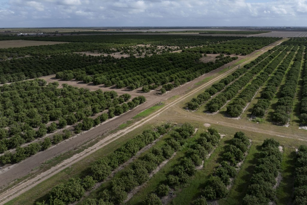 Texas’ congressional delegation wants Trump to punish Mexico for missing key water deadline Texas’ congressional delegation wants Trump to punish Mexico for missing key water deadline