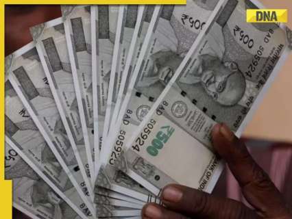 DA Hike News: THIS state announces 3% increase in Dearness Allowance for employees ahead of Diwali, Chhath Puja