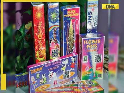 Diwali 2025: Green crackers scarce as Delhi markets flooded with conventional crackers