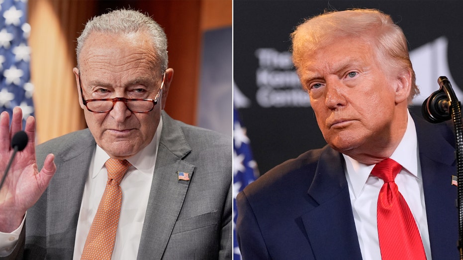 Blame Game: GOP spotlights ‘Schumer shutdown’ while Dems lash out at Republicans ahead of 2026 midterms