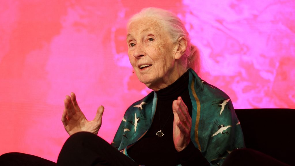 Renowned chimpanzee researcher Jane Goodall dies at 91 Renowned chimpanzee researcher Jane Goodall dies at 91
