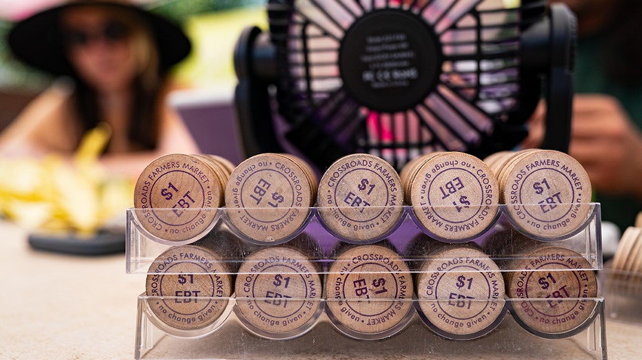 States sue Trump admin over billions in looming cuts to SNAP, food stamps States sue Trump admin over billions in looming cuts to SNAP, food stamps