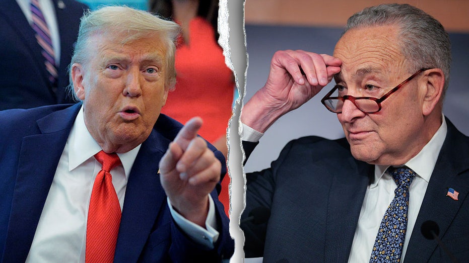 Trump slams Democrats for ‘shutting down’ government, demands it reopen ‘tonight’