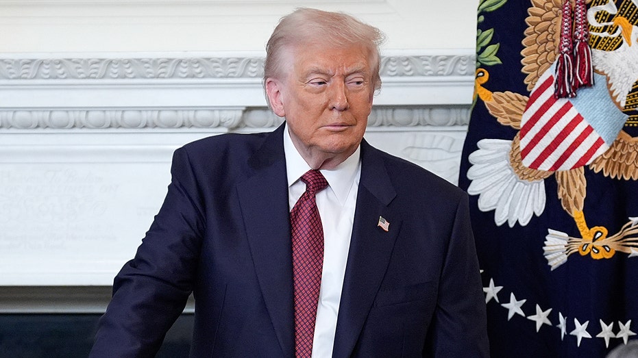 Trump compares Dems to kamikaze pilots: ‘They’ll take down the country if they have to’ Trump compares Dems to kamikaze pilots: ‘They’ll take down the country if they have to’