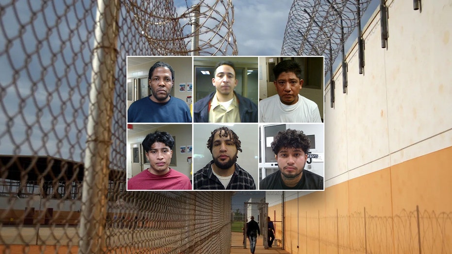 Sexual predators, drug traffickers among ICE’s ‘worst of the worst’ roundup in Virginia Sexual predators, drug traffickers among ICE’s ‘worst of the worst’ roundup in Virginia