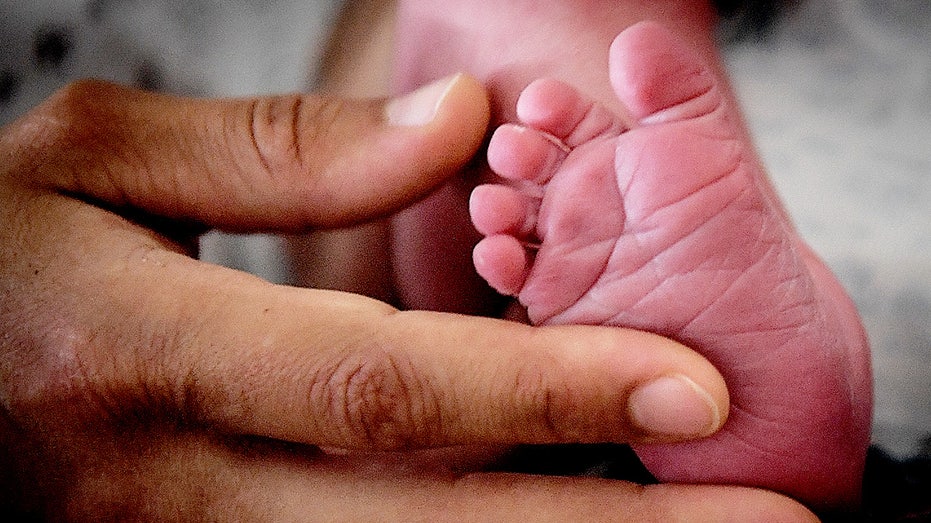 Pro-life pregnancy centers see client increase after Supreme Court decision: study Pro-life pregnancy centers see client increase after Supreme Court decision: study