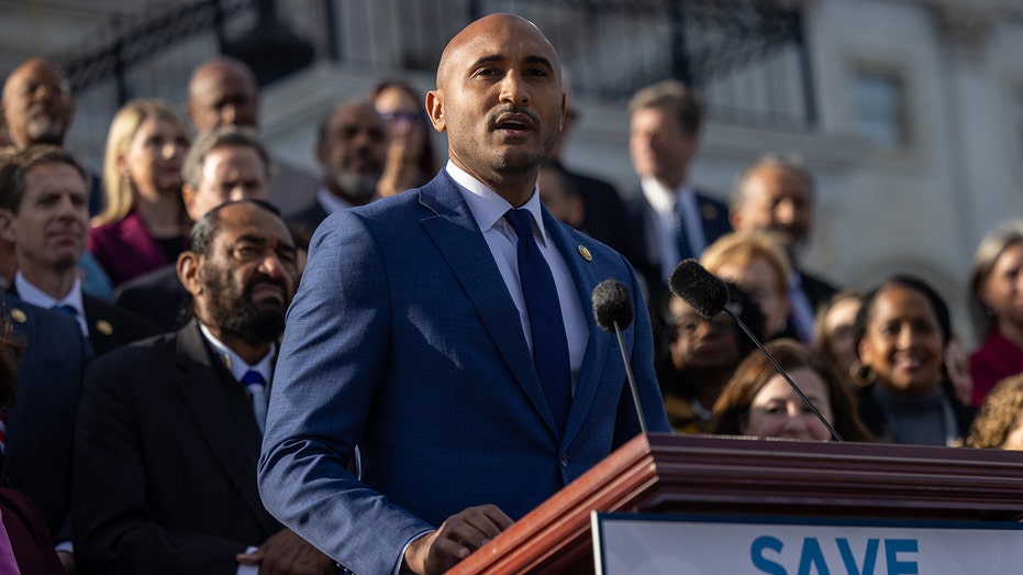 Dems say base is ‘rightfully’ angry over their leaders caving to GOP during shutdown fight: ‘Porch puppies’ Dems say base is ‘rightfully’ angry over their leaders caving to GOP during shutdown fight: ‘Porch puppies’