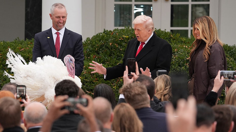 How the White House turkey pardon became an American tradition How the White House turkey pardon became an American tradition
