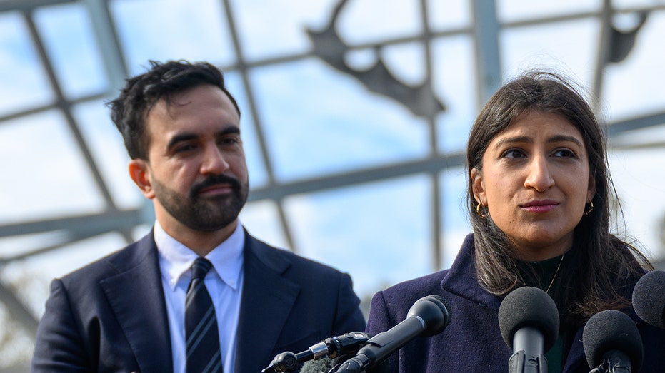 Top Mamdani appointee faces heat amid promise to make NYC more affordable: ‘Embodiment of inflation’ Top Mamdani appointee faces heat amid promise to make NYC more affordable: ‘Embodiment of inflation’