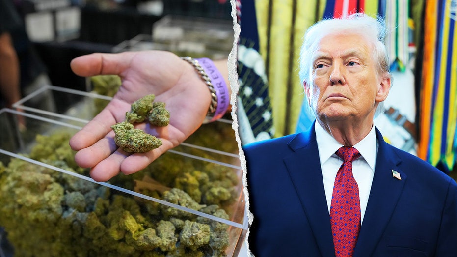 House Republicans demand Trump reverse course after ‘strongly considering’ marijuana executive order