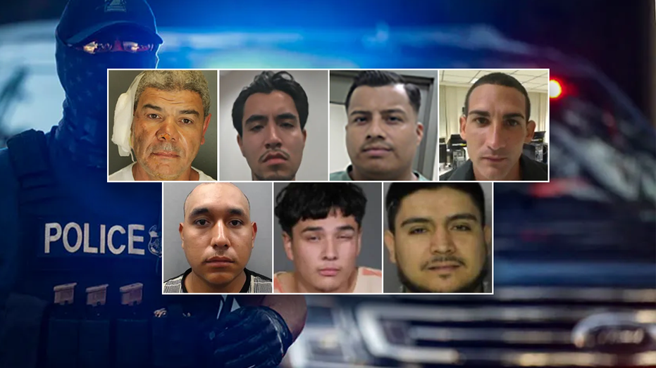 ‘Worst of the worst’: The 10 most violent illegal immigrants nabbed in 2025