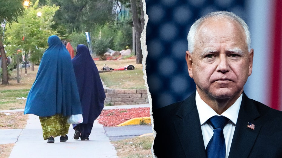 Expert reveals key factor that led to massive Minnesota fraud scheme Expert reveals key factor that led to massive Minnesota fraud scheme